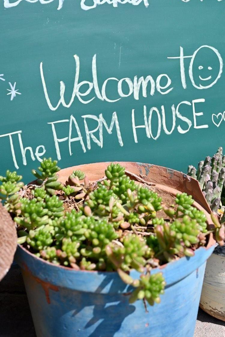 The Farmhouse Boutique Guesthouse And Beergarden Cc Outjo Esterno foto